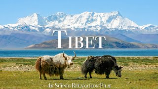 Tibet 4K  Scenic Relaxation Film With Calming Music [upl. by Micro208]