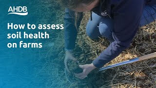 How to assess soil health on farms [upl. by Maxy]