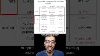 Learn about lysosomal storage diseases with this 3x3 grid [upl. by Ellord]