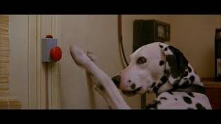 101 dalmatians 1996  pongos morning routine [upl. by Nyvar]