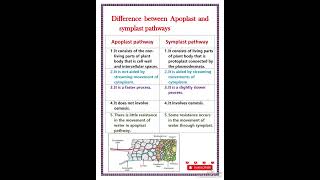 Difference between apoplast and symplast pathway [upl. by Coplin]