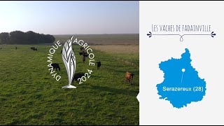 Les vaches de Favainville lauréat du Prix de la Dynamique Agricole 28 [upl. by Shaner]