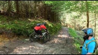 Easy day on the Dalby forest red route mountain bike trail  may 2023 [upl. by Ikik]