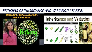 PRINCIPLE OF INHERITANCE AND VARIATION POLYGENIC INHERITANCE  PART 5 [upl. by Mcneil]