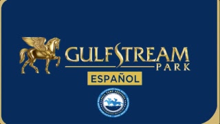 Gulfstream Park Live Stream [upl. by Annahvas]