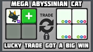 BEST 17 OFFERS FOR MEGA ABYSSINIAN CAT in Rich Servers Adopt me Roblox [upl. by Ashli]