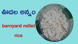 ఊదల అన్నం॥ barnyard millet rice preparation [upl. by Mcneil]