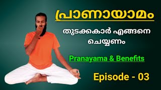 പ്രാണായാമം തുടക്കകാർ എങ്ങനെ ചെയ്യണം  Pranayama for Beginners  EPISODE 03 [upl. by Ydennek]