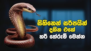 සර්පයින් සිහිනෙන් දැකීම සහ එම සිහින වල තේරුම්  Snake Dreams Meaning and Interpretation [upl. by Egidius220]