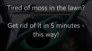 How to kill the moss instantly [upl. by Jolenta455]