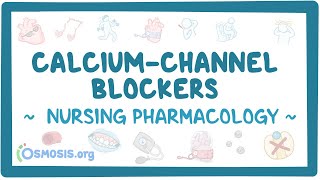 Calciumchannel blockers Nursing Pharmacology [upl. by Weber]