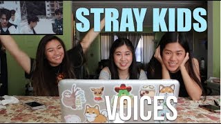 Stray Kids Voices MV Reaction [upl. by Akihsay]