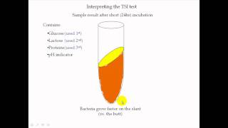 TSI Test Part 1 [upl. by Anual]