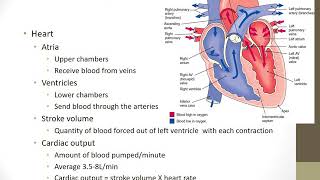 Fundamentals Chapter 39 Oxygenation MP4 [upl. by Balling239]