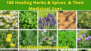 Top 100 Best Healing Medicinal Herbs Spices And Plants Names Health Benefits And Medicinal Uses [upl. by Belford150]