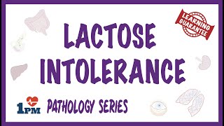 Lactose Intolerance  Pathophysiology Causes Signs and symptoms [upl. by Kucik523]