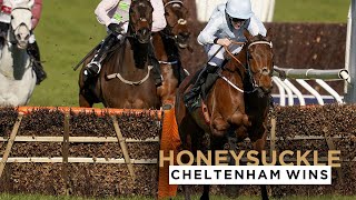 HONEYSUCKLES 3 CHELTENHAM FESTIVAL WINS [upl. by Erual799]