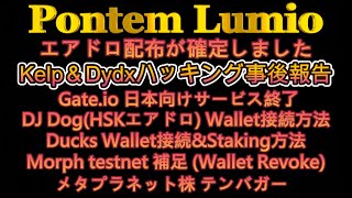 Pontem Lumio エアドロ確定 amp DJdog進捗 amp Ducks進捗 amp Morph補足 amp ハッキング情報 amp メタプラネット株 ほか [upl. by Baalman]