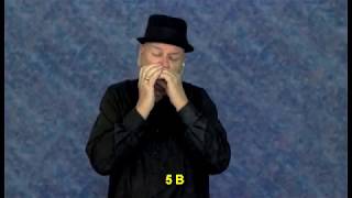 Play Blues Harmonica in 5 minutes  Session 1 [upl. by Lancaster]