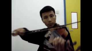 The Corrs  The Minstrel Boy Violin Cover [upl. by Aed]