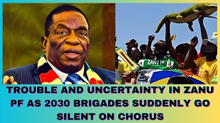 UNCERTAINTY IN ZANU PF AS 2030 BRIGADES GO SUDDENLY SILENT [upl. by Oskar]