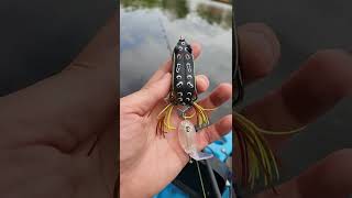 River2Sea Whopper Plopper Trailer and Frog Kit on Zman Leap FrogZ  Fishing Lure shorts [upl. by Ayama182]