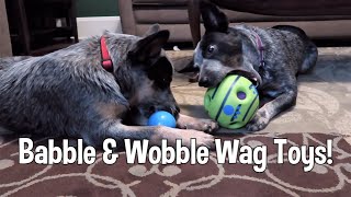 Cattle Dogs Try Wobble Wag amp Babble Ball Toys [upl. by Anaibaf777]