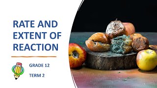 Rate and Extent of Reaction Full Chapter  Grade 12 [upl. by Adnesor]