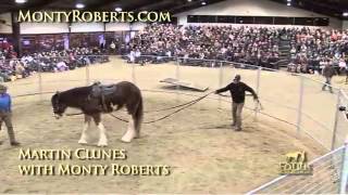 Martin Clunes and Monty Roberts JoinUp [upl. by Haroppizt]