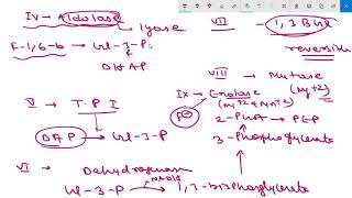 GLYCOLYSISPATHWAYREGULATIONCLINICAL [upl. by Maxwell]