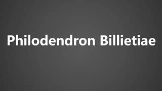 How To Pronounce Philodendron Billietiae [upl. by Zoubek]