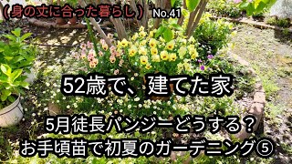 お手頃価格の苗で、初夏のガーデニング！前回から1週間、徒長パンジーどうする？お花の様子をご紹介します [upl. by Osbourn609]