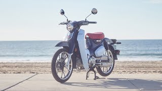 2019 Honda Super Cub C125 Review  MC Commute [upl. by Nalrah]