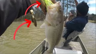 HOW TO CATCH LARGEMOUTH BASS IN A LAKE  SPORTSMENHERE GEORGIA EDITION bassfishing bass fishing [upl. by Rempe17]