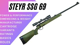 STEYR SSG 69  Every Specifications You Need to Know [upl. by Dorena]