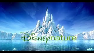 DisneyNature  10 Years Of Disney Nature official video [upl. by Gonsalve]