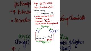 Mycorrhiza as BiofertilisersMycorrhizal associationMycorrhiza FungiRole of Mycorrhiza biology [upl. by Aneryc]