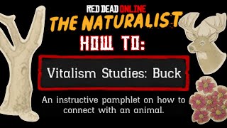 How to Vitalism Studies Buck  Red Dead Online [upl. by Niel429]