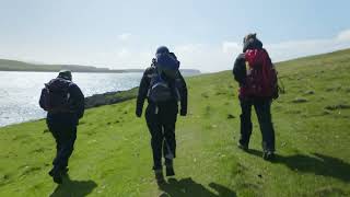 Monitoring European storm petrels on Mousa [upl. by Nerrad]