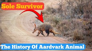 quotAnteater Ancestors Unveiling the Untold History of Aardvarksquot [upl. by Ahsilak]