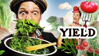 Yield  Formidable Vegetable  Grow Your Own Food Permaculture Music Video [upl. by Jacklyn]