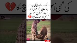 Mohabbat Na Bech Saka 🥺💔Animal Love Quotes  Aqwal e zareen  Heart touching  Judai status shorts [upl. by Adebayo]