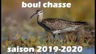 Chasse aux limicole dans le nord 59 saison 20192020 [upl. by Wiltz978]