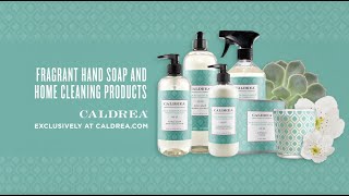 Caldrea A fragrant homekeeping collection [upl. by Arvell568]