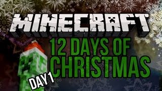 quotYOUR FACEquot 12 Days of Christmas Minecraft Special  DAY 1 [upl. by Ecital]