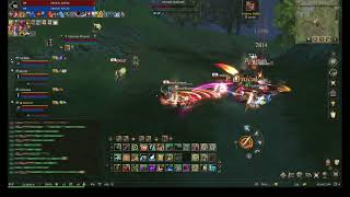 Lineage 2 Aden  Guardian Server  Boss Rush  Hierophant Gameplay  NewBoyHawK [upl. by Assereht121]