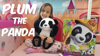 Plum The Curious Panda Bear Cub Rachel shows you her new Furreal panda that she got for Christmas [upl. by Fulvi]