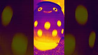 Ringtone evolution boba falling funny viral trending shortvideo [upl. by Eceirehs]