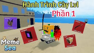 Hành Trình Cày cấp và Lấy tất cả vũ khí trong Meme sea  Roblox [upl. by Cully652]