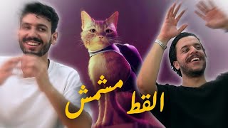 لعبة القطة الضائعة  Stray [upl. by Adlay]